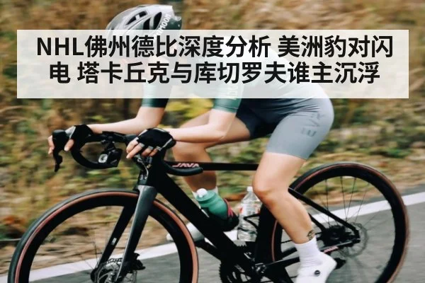 NHL佛州德比深度分析 美洲豹对闪电 塔卡丘克与库切罗夫谁主沉浮